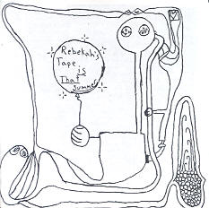 mmmmmmrrrrrrrrrrow? cover kitty back